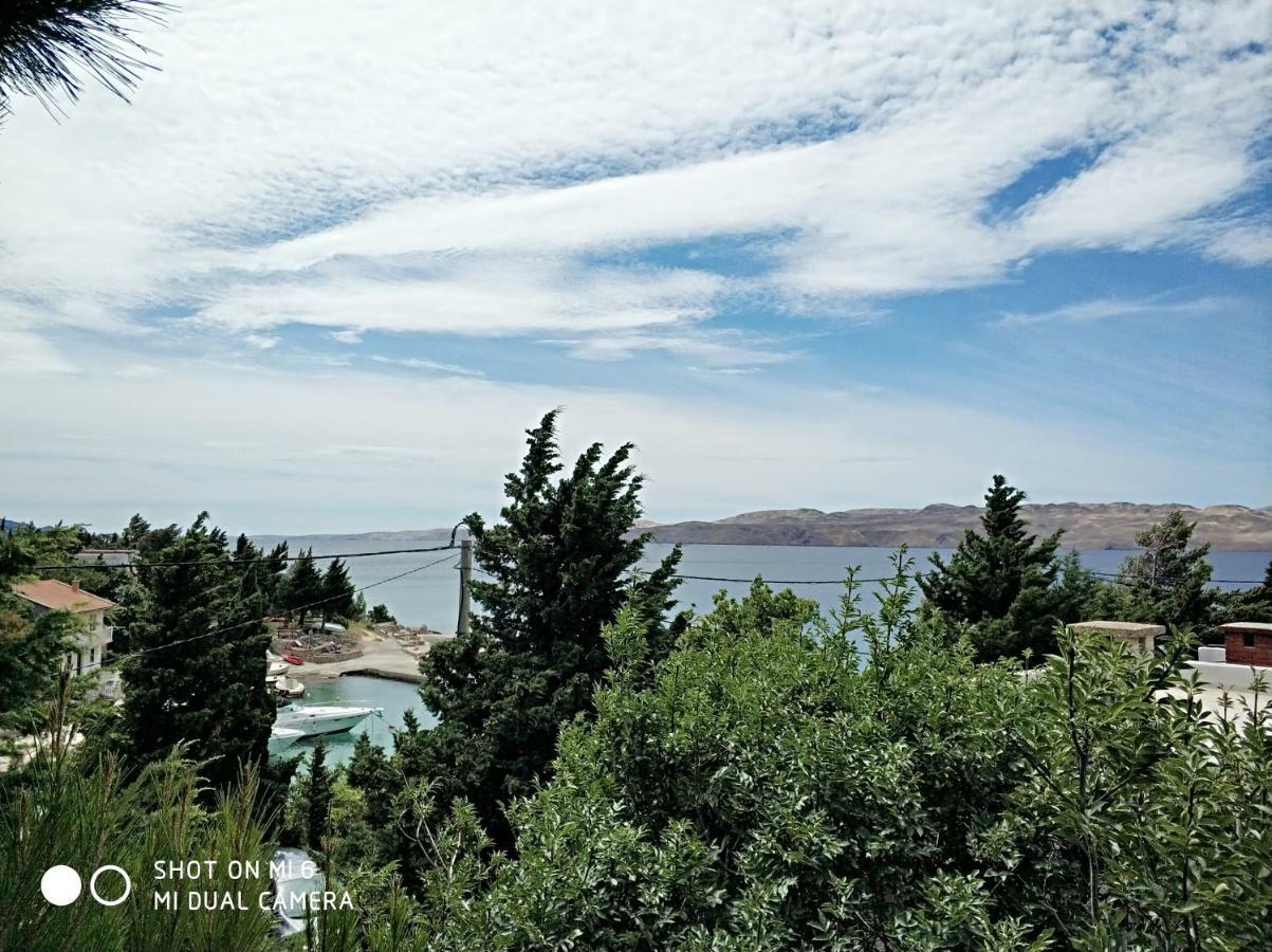 Danica Holiday House Чезарица Экстерьер фото