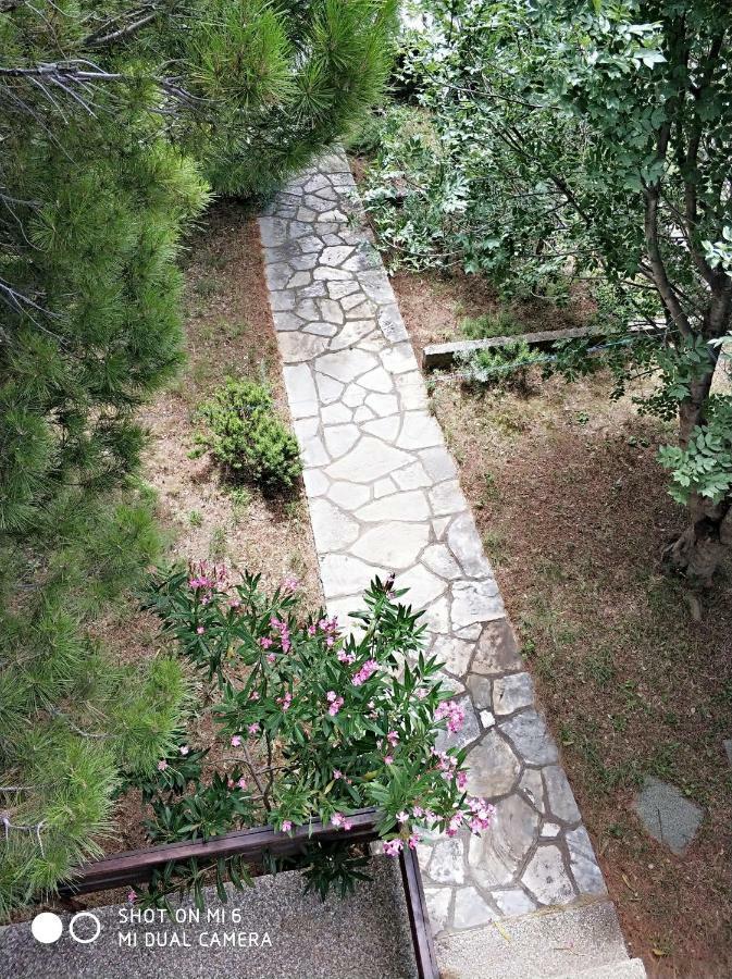 Danica Holiday House Чезарица Экстерьер фото
